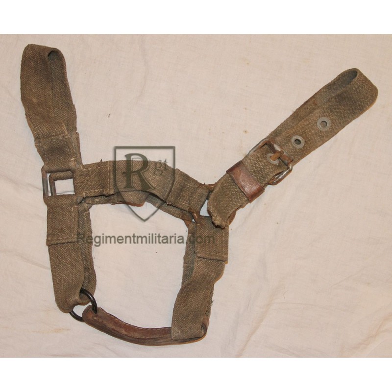 Horse halter.