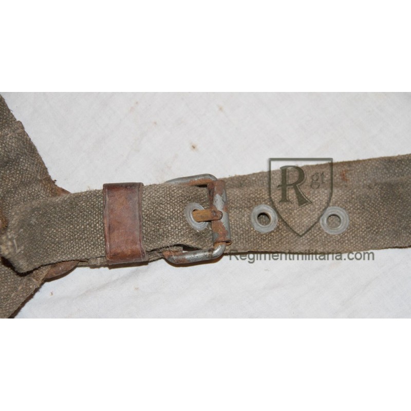 Horse halter.