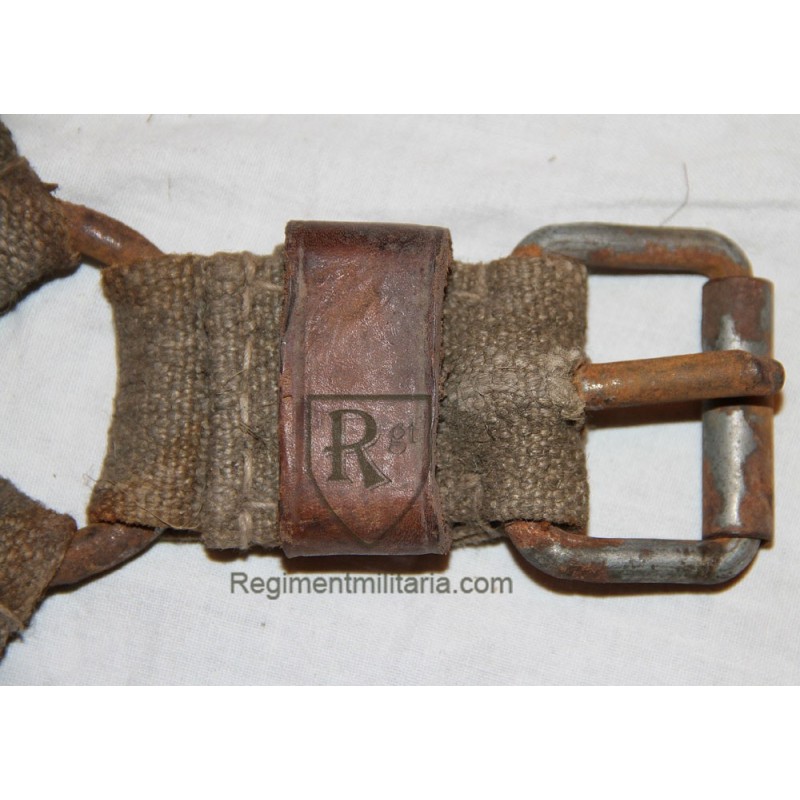 Horse halter.