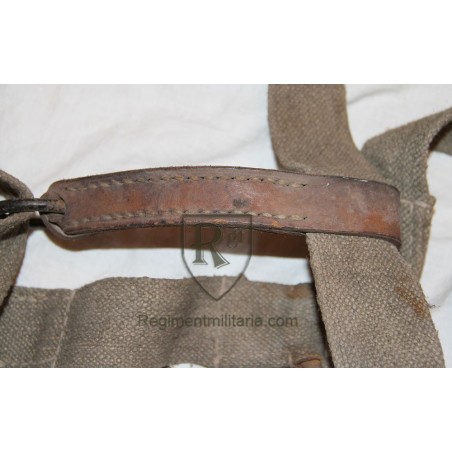 Horse halter.