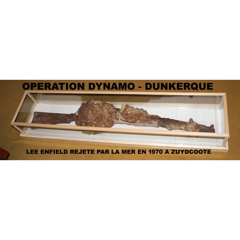 Operation DYNAMO