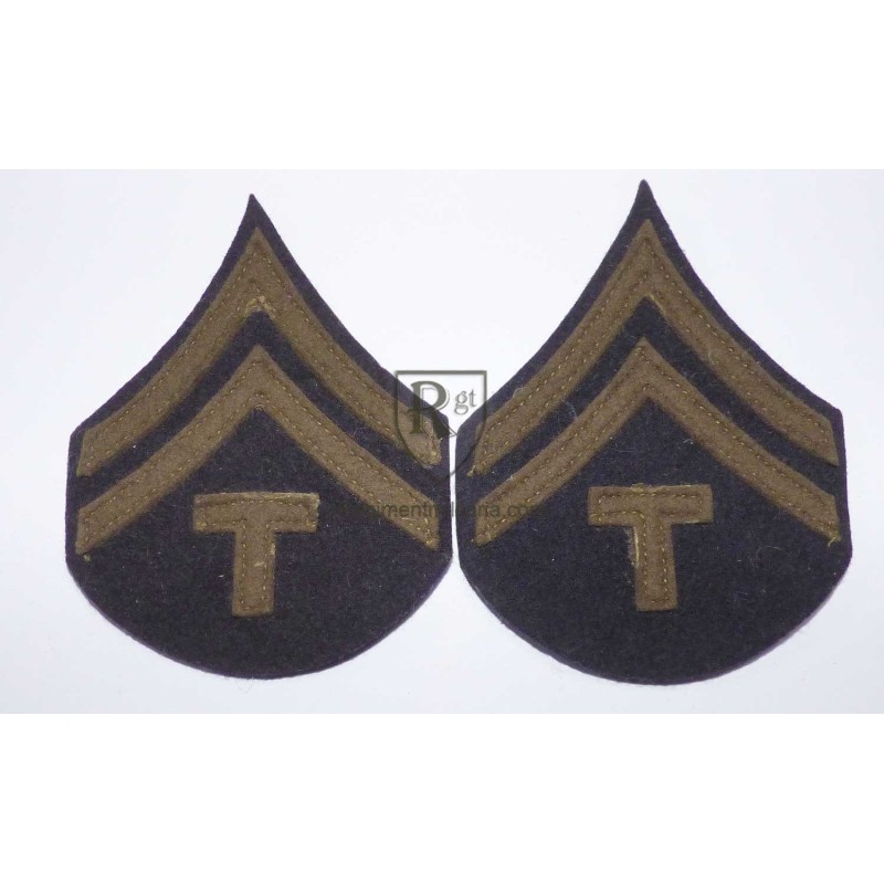 Tech 5th class sleeve rank badges.