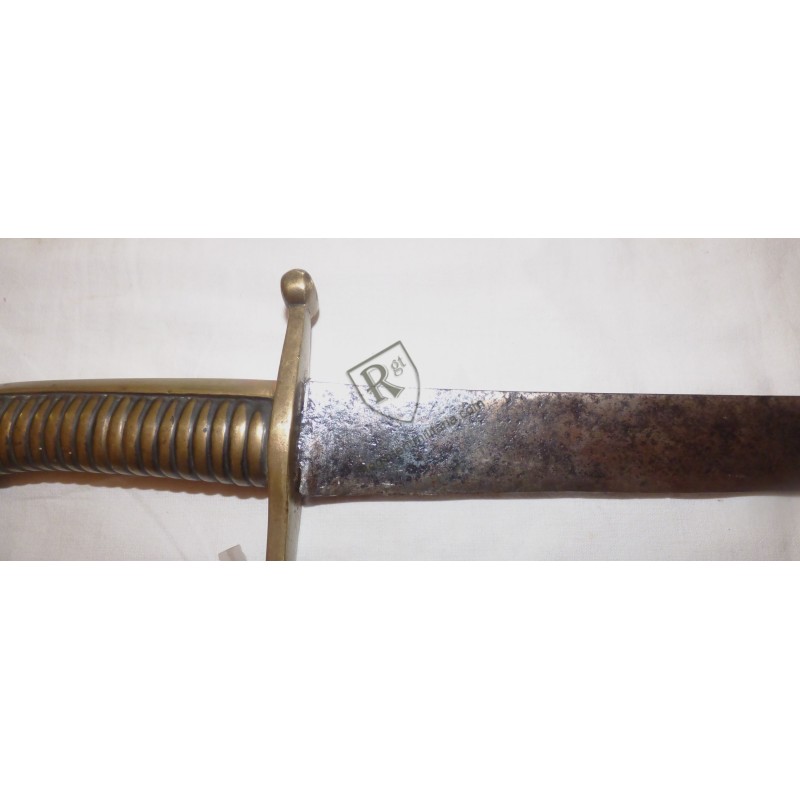 Revolution infantry sword