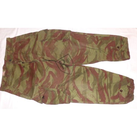 Camo para pants Algerian war