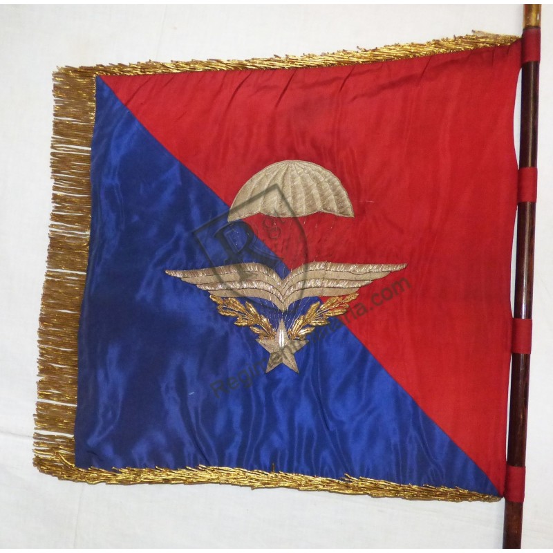 Para flag Para flag